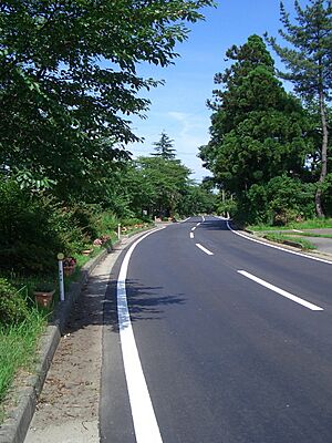 Archivo:Road in niigata