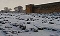 Romain ruins Sétif