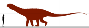 Archivo:Saltasaurus size