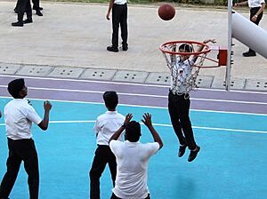 Archivo:Sosv Basketball