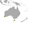 Southern Brown Bandicoot area