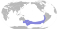 Thalassarche bulleri map