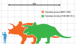 Archivo:Triceratops scale