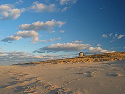USA Cape Cod 3 MA.jpg