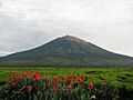 Uprising-mount kerinci
