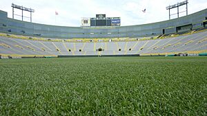 Archivo:View of Lambeau Field
