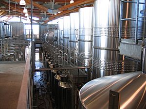 Archivo:Winery with fermentation tanks