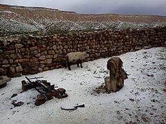 Yavi Chico temporal de granizó Marzo 2014