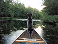 "Allagash" on the Souadabscook River - panoramio