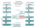 AGE a Eicosanoides