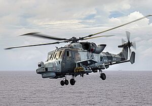 Archivo:AW159 Wildcat equipped with Martlet missiles