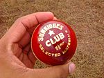 Archivo:A Cricket ball
