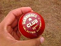 Archivo:A Cricket ball