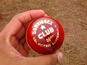 Archivo:A Cricket ball