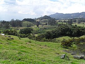 Altiplano cundiboyacence.jpg