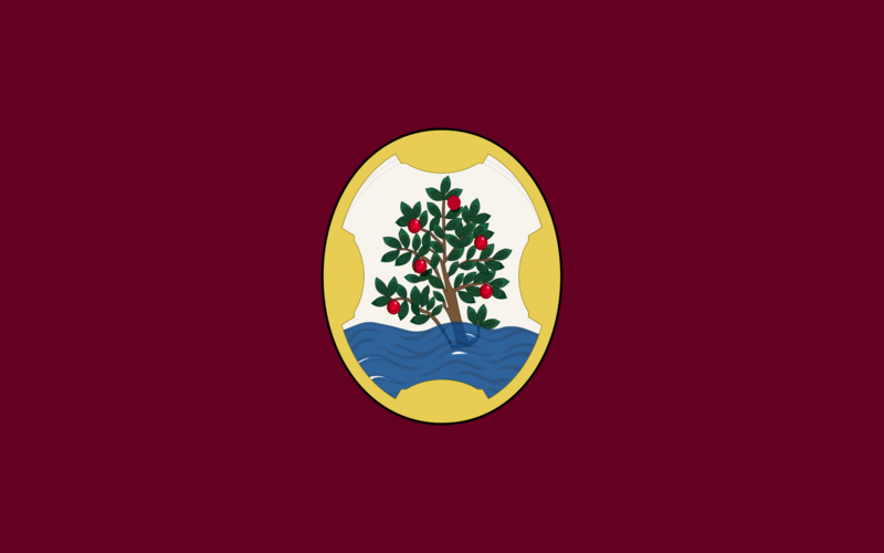 Arenys de Mar Flag