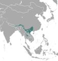 Back-striped Weasel area