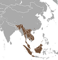 Binturong area
