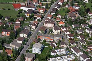 Archivo:Busswil Luftaufnahme