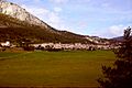 Caillewiki2