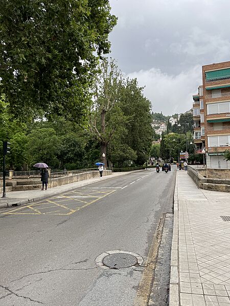 Calle Puente Verde (1)