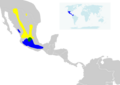 Calothorax lucifer map