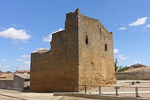 Archivo:Castillo de Barcial de la Loma 03