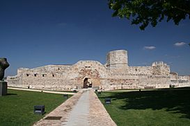 Castillo de Zamora-2011.JPG