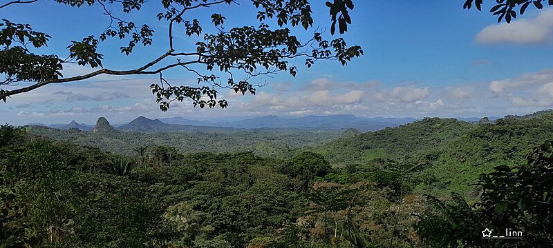 Chiguirí Arriba
