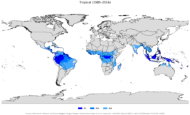 alt=Localización de los climas tropicales por subtipos según la clasificación Köppen-Geiger:      Af—Clima tropical de selva o ecuatorial.      Am—Clima tropical monzónico.      Aw / As—Clima tropical de sabana.
