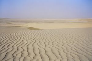 Archivo:Desert Qatar