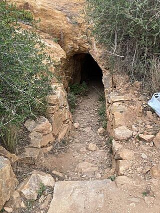 Entrada a la Sima de las Palomas en las Jornadas de Puertas Abiertas.jpg