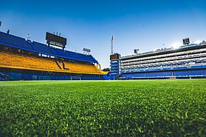 Archivo:Estadio Alberto J. Armando field view