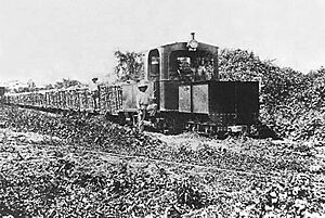 Archivo:Ferrocarril de Paraíso Novillero