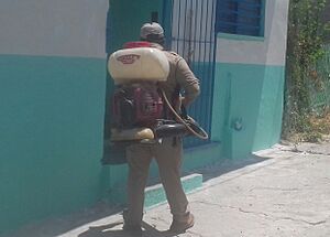 Archivo:Fumigador de dengue Tuxtla