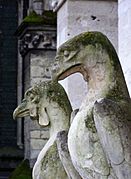 Gargouilles Amiens oiseaux