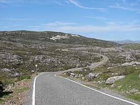 Golden Road Harris.JPG