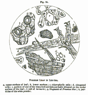 Archivo:Hassall - Foreign leaf in lie-tea