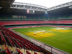 Archivo:Inside the Millennium Stadium, Cardiff