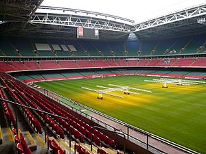 Inside the Millennium Stadium, Cardiff.jpg