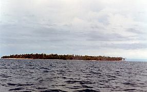 Isla Tortuguilla