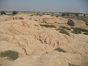 Archivo:Kalibangan three mounds