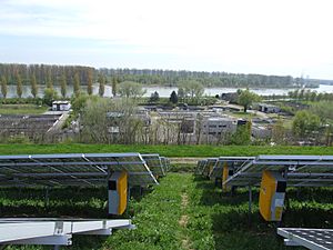 Archivo:Müllberg Speyer - 6 - Rückseite der östlichen Solarpanele