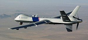 Archivo:MQ-9 Reaper CBP