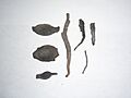 Material deshidratado de Ascophyllum nodosum
