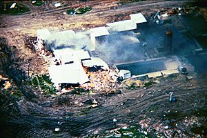 Archivo:Mountcarmelfire04-19-93-l