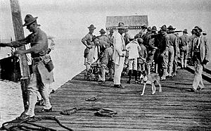 Archivo:Ocupacion-1916