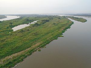 Archivo:Orilla occidental del río Paraguay, perteneciente al departamento de Presidente Hayes. Vista desde el puente Nanawa, que lo conecta con el departamento de Concepción.