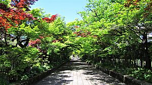 Archivo:Path leading to Ryufukuji temple, Yamaguchi