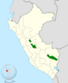 Phlogophilus harterti map